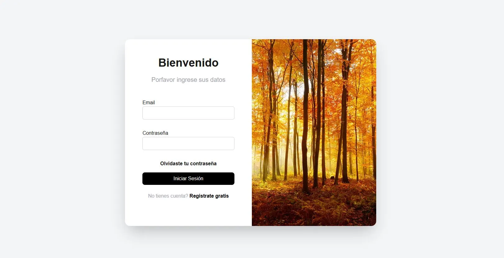 SystemLogin